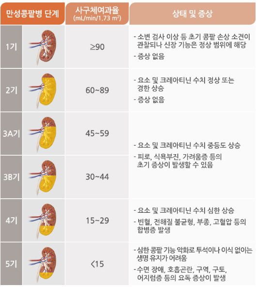 신장이 안좋으면 나타나는 증상 2