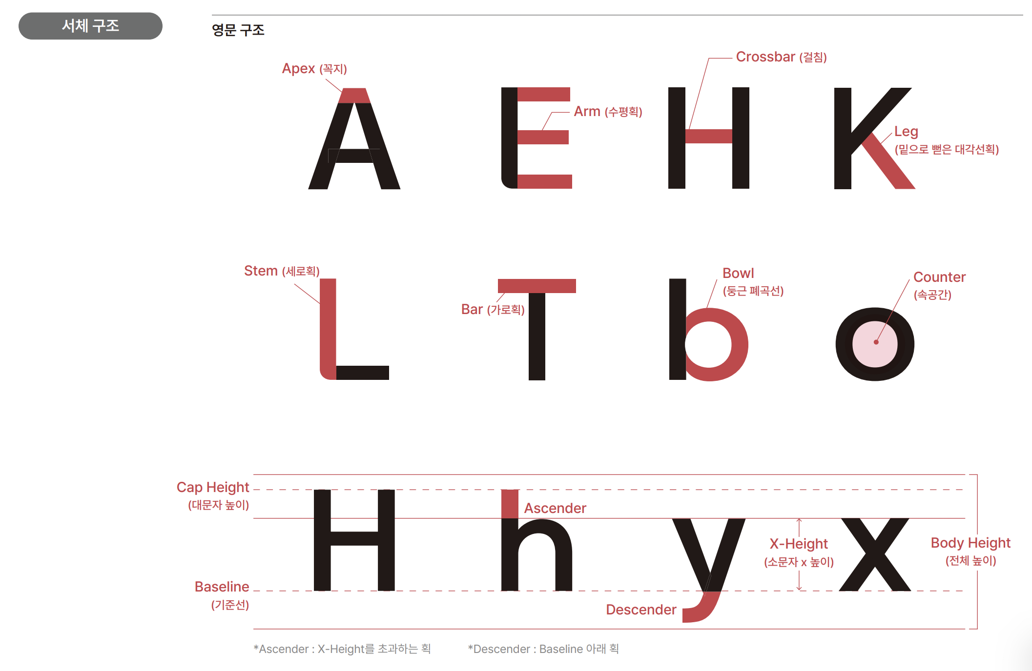 경북대 진리체 서체 구조