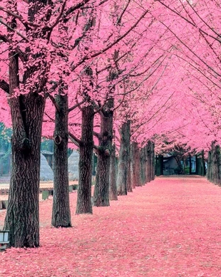 춘천 여행 가이드 &ndash; 꼭 가봐야 할 명소 &amp; 꿀팁!