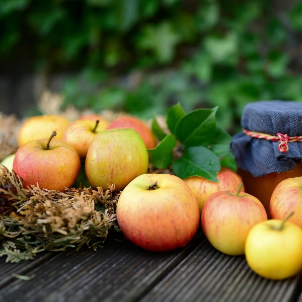 콜레스테롤 낮추는 음식 식단 사진 15