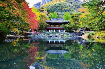 11월 단풍축제 가볼만한곳 BEST 10