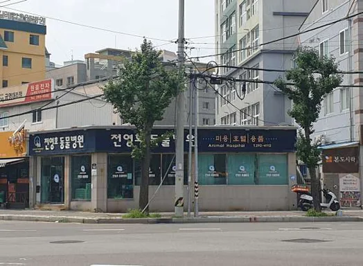 전영호동물병원