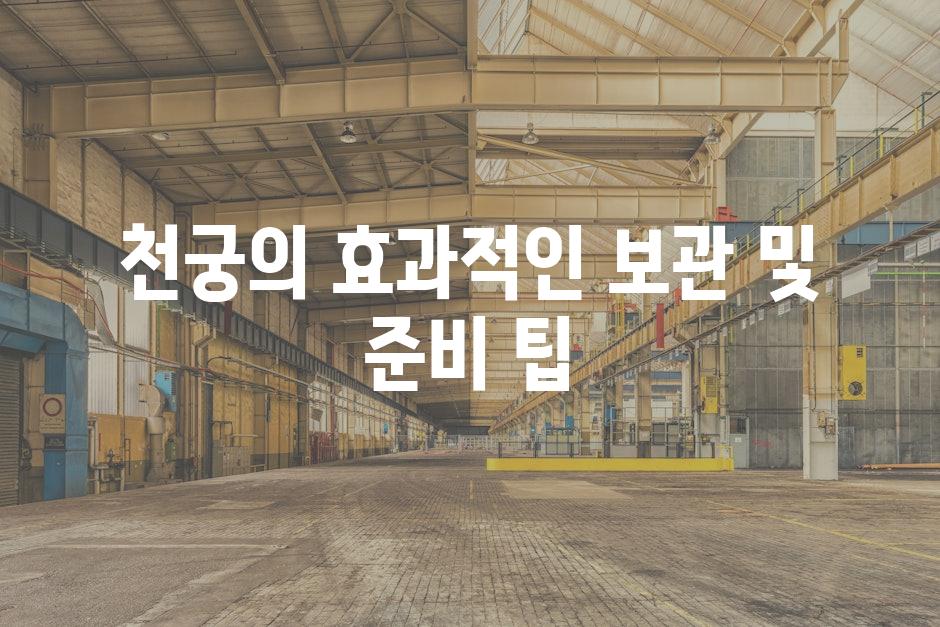 천궁의 효과적인 보관 및 준비 팁