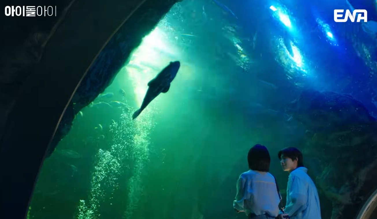 아이돌아이 드라마