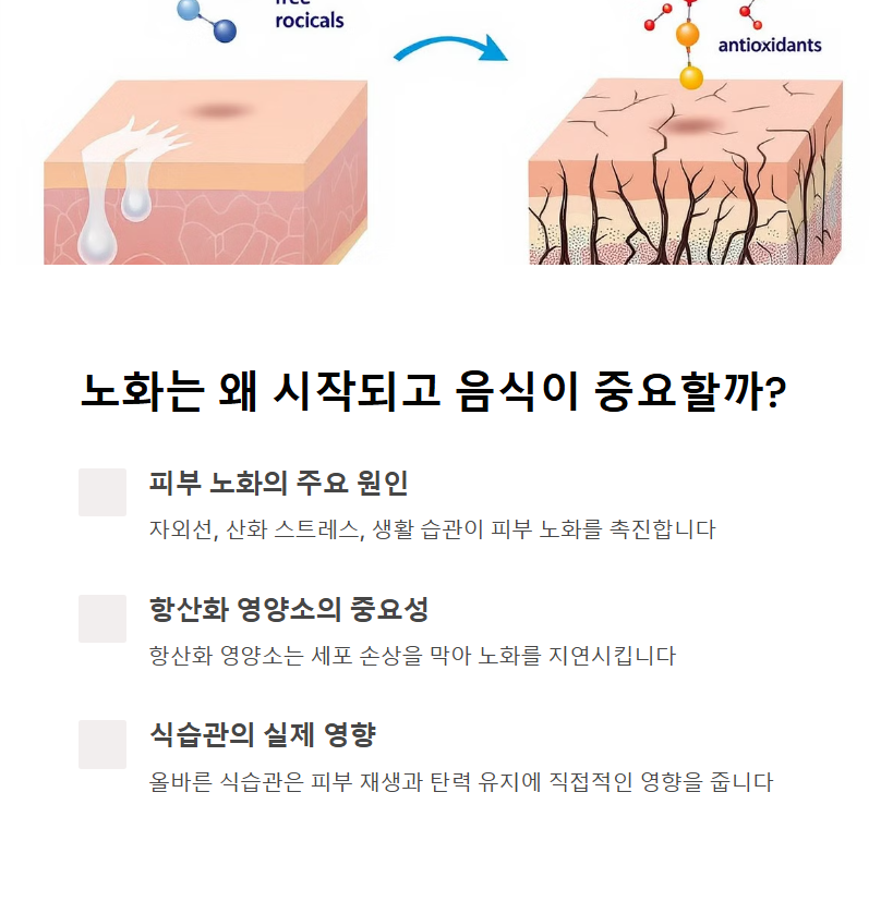노화는 어떻게 시작되고 왜 음식이 중요한가?