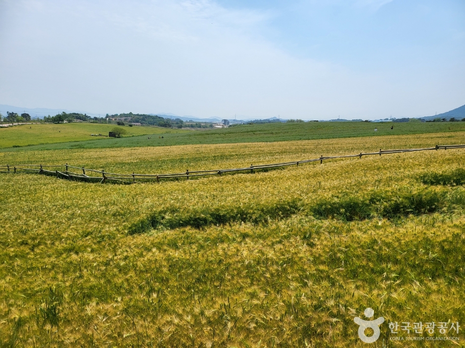 고창 가볼만한곳 베스트10