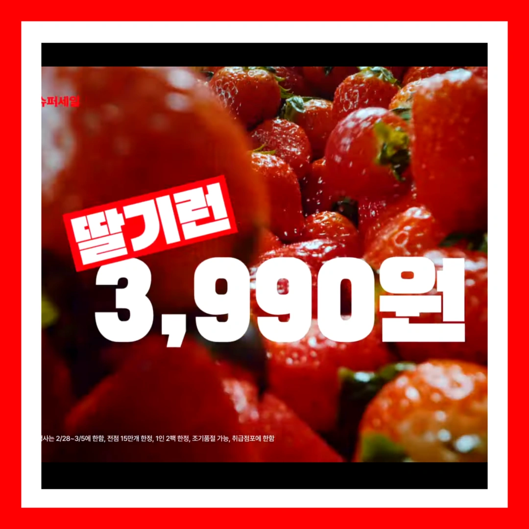 홈플런-홈플러스-창립행사-창립세일