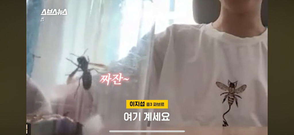 이지섭 김좀말벌