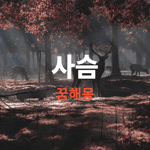사슴 꿈해몽, 꿈에 사슴이 나오면 길몽이 대부분 입니다 하지만 흉몽도 있으니 확인 해보세요.