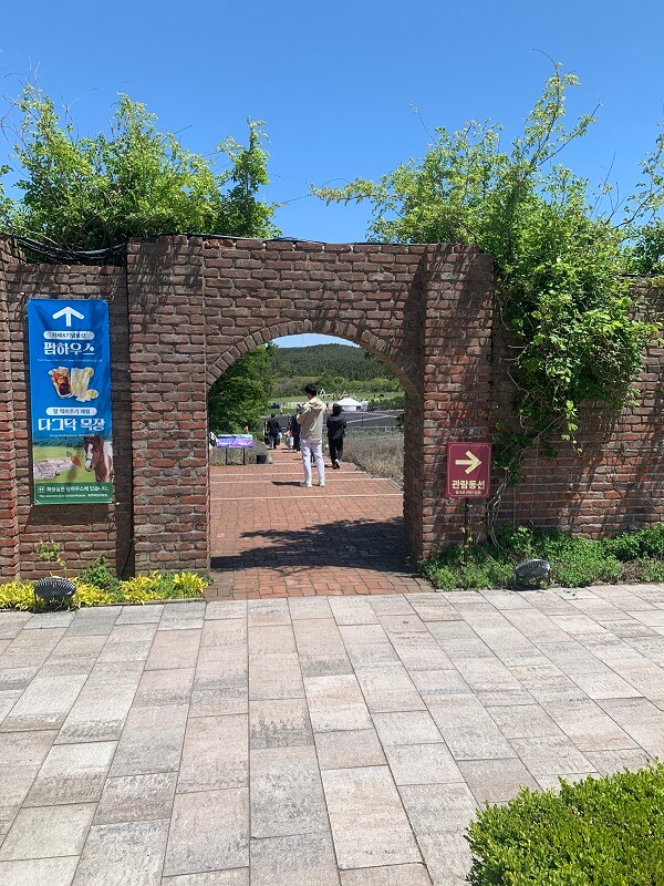 제주에코랜드-다그닥목장