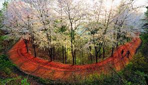 대전 가볼 만한 곳