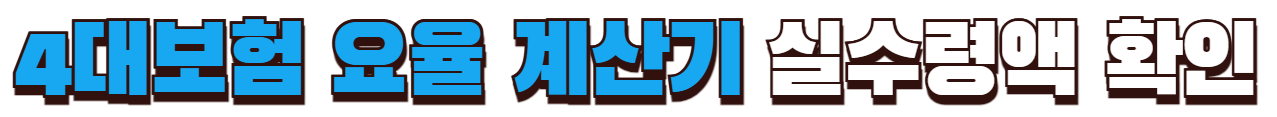 실수령액 확인하기