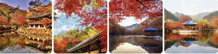 alt="가을 단풍 명소로 유명한 한국 사찰과 연못 풍경 4컷 이미지"