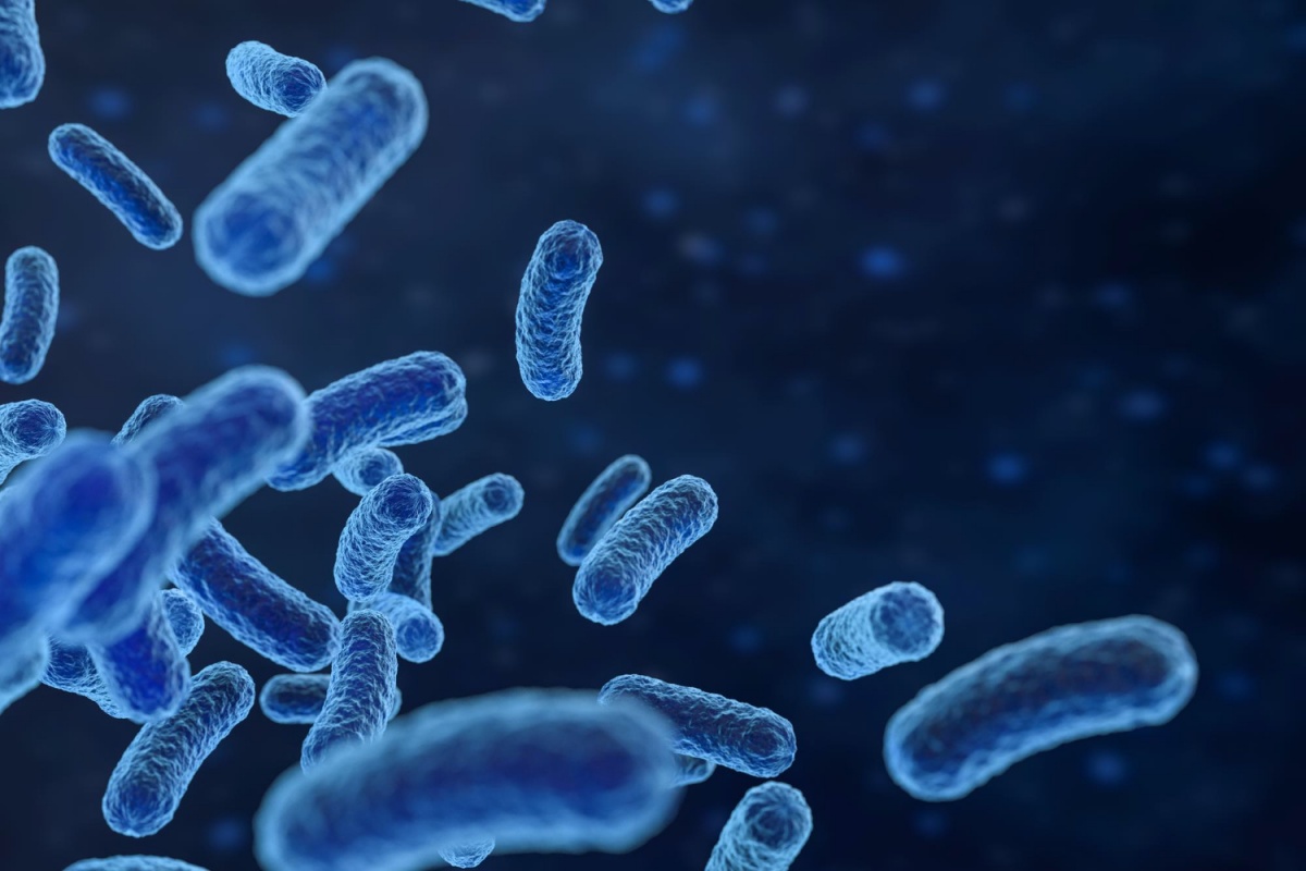 다양한-미생물군