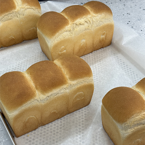 식빵사진