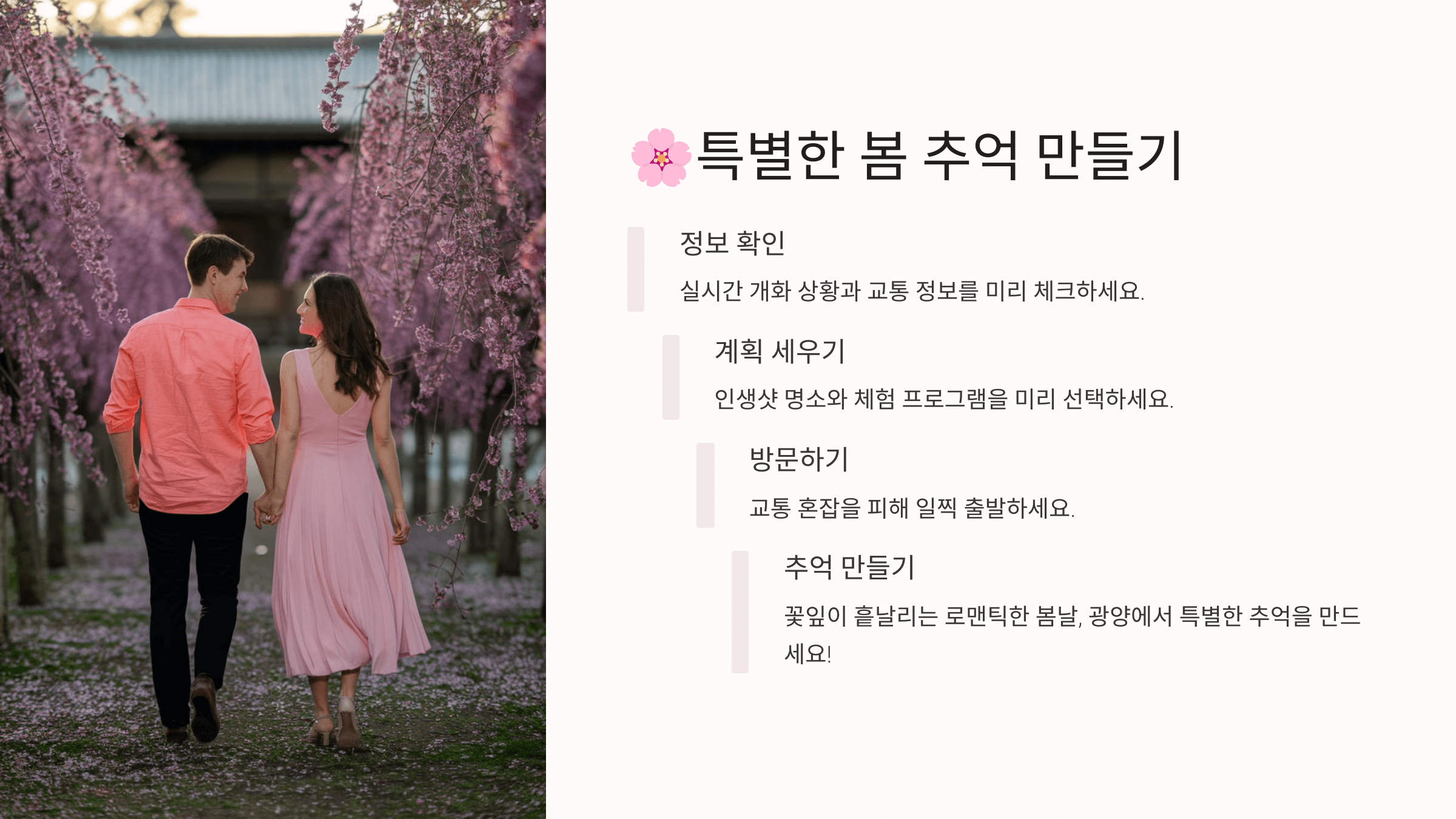 2025 광양 매화축제기간 실시간 개화시기 교통상황 & 주차 꿀팁