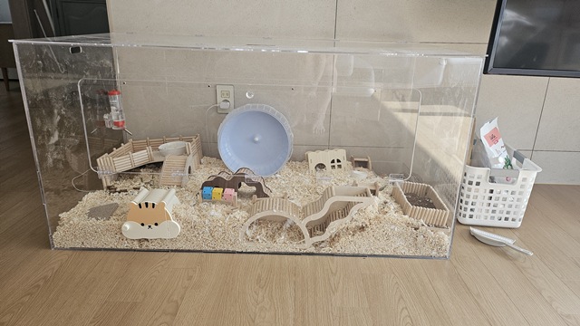 골든햄스터 키우기 준비물 (실제 키우는 케이지 사진)