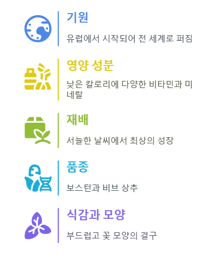 버터헤드 상추