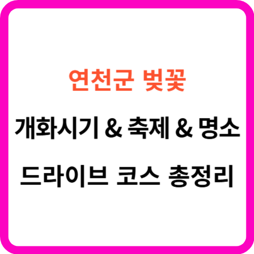 연천 벚꽃 개화시기 명소 드라이브 코스 축제 가이드 썸네일