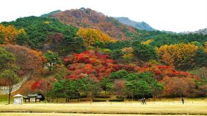 경북 가을 산행지 추천