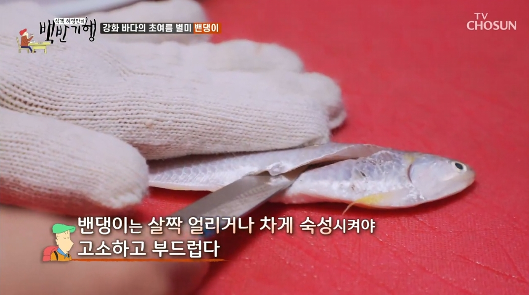 동막호-밴댕이회