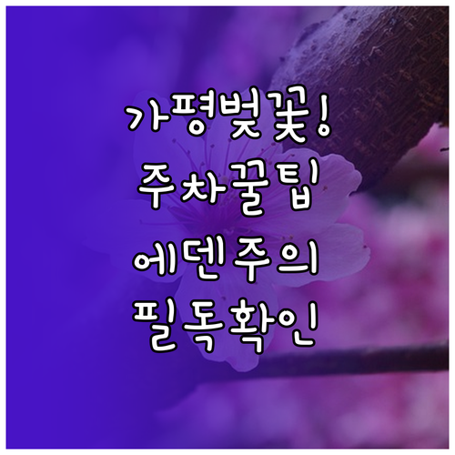 가평 벚꽃 축제 주차장 정보 및 에덴..
