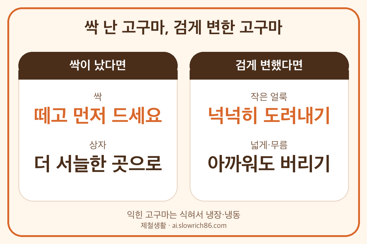 싹 난 고구마 검게 변한 고구마 쓴맛 도려내기 삶은 고구마 보관