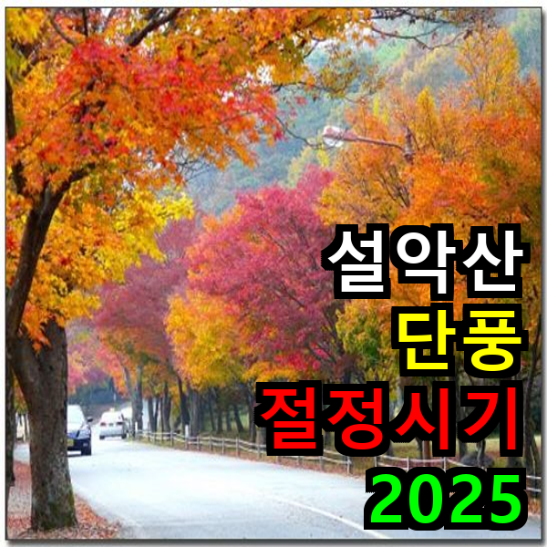 설악간 단풍 절정시기