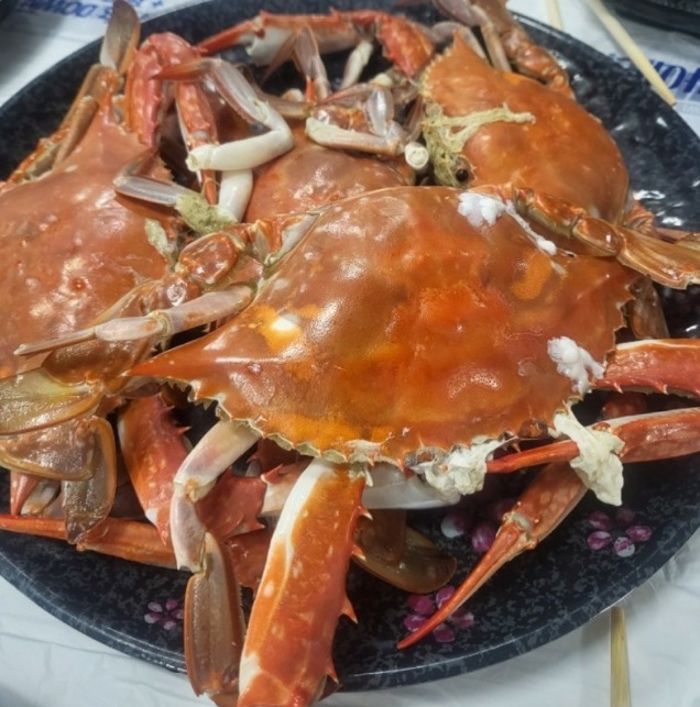 홍원항-자연산-전어-꽃게-축제