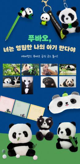 푸바오 학대논란에 따른 근황 및 투표 현황 총정리