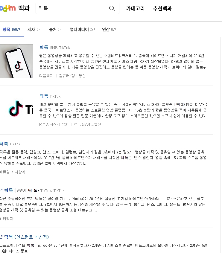 다음백과에 정의된 틱톡의 개념과 역사 요약