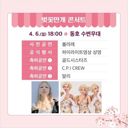 벚꽃만개 콘서트