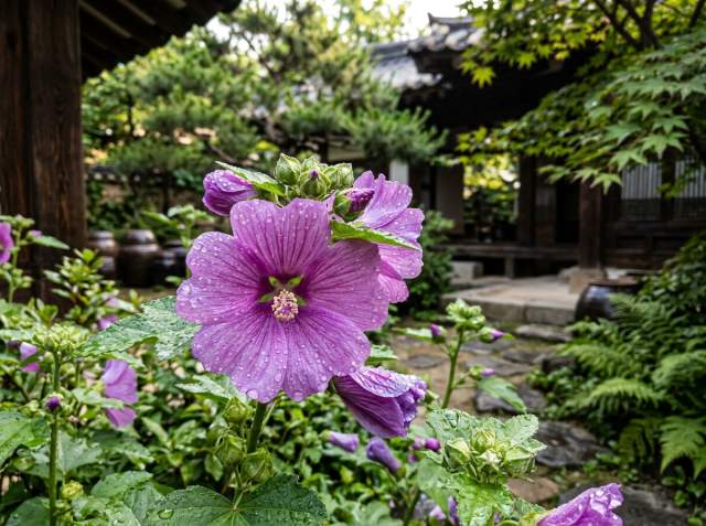명품 화장품 성분 말로우 추출물 효능, 피부 장벽 강화와 진정 효과