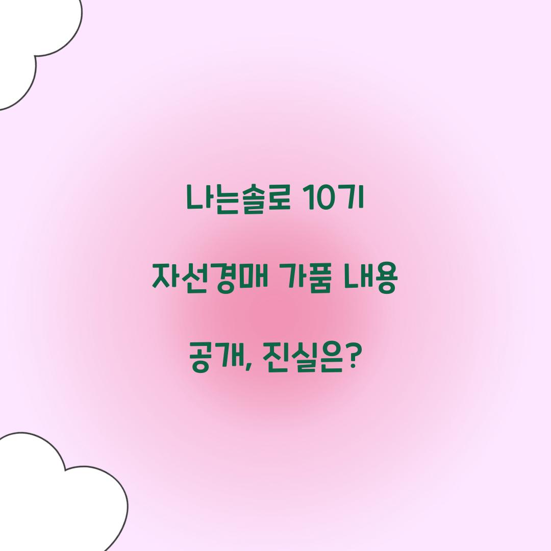 나는솔로 10기 자선경매 가품 내용