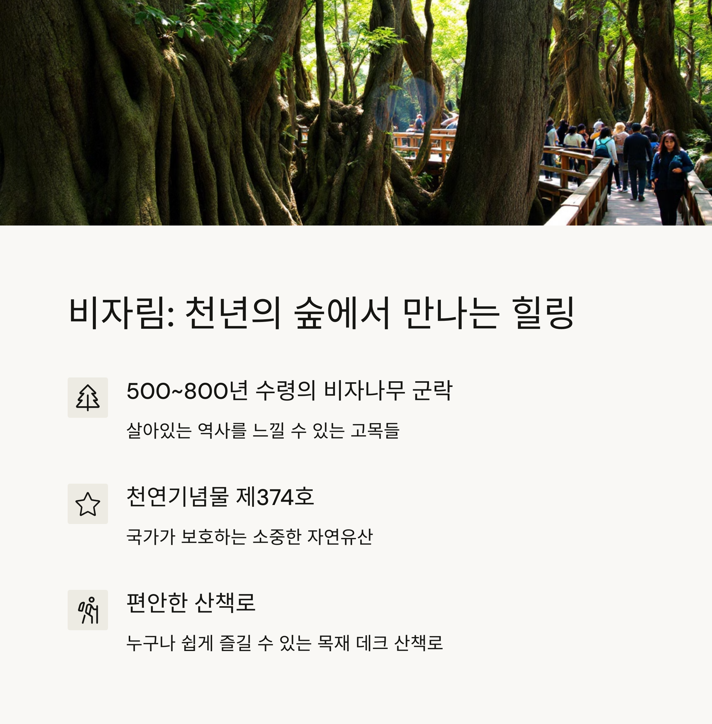 비자림
