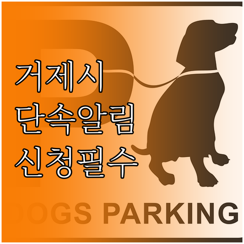 거제시 주정차 단속 알림 서비스 신청..