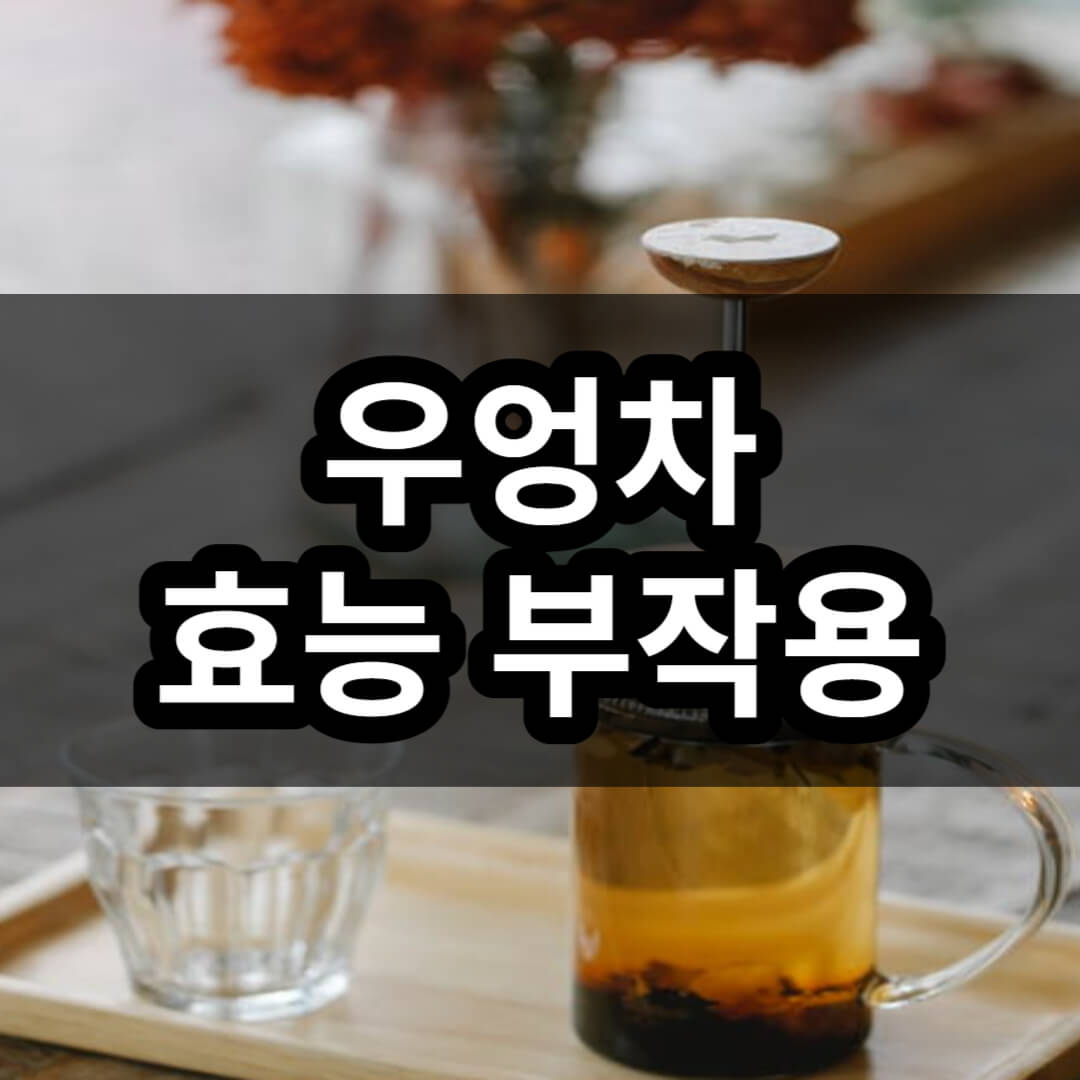 우엉차 효능 부작용