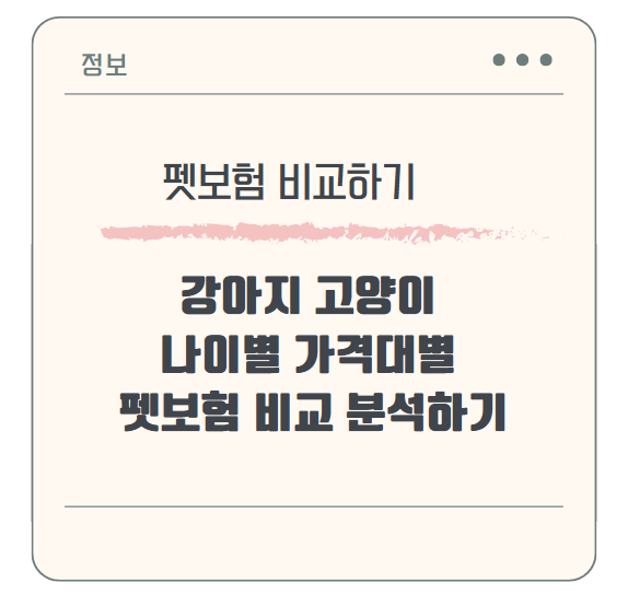 강아지 고양이 나이별 가격대별 펫보험 비교 분석하기