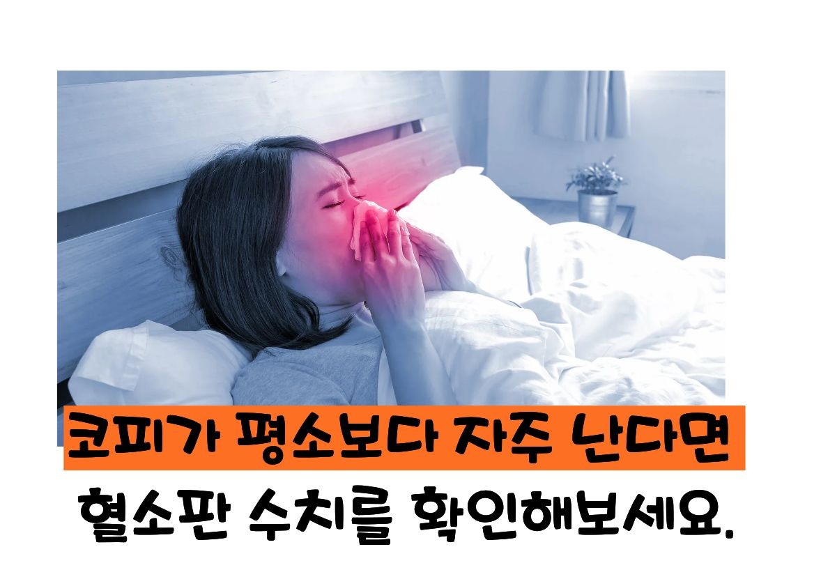 혈소판 감소증 증상
