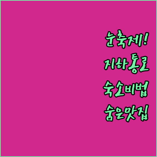 삿포로 눈 축제 여행 지하 통로 연결..