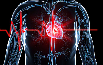 심장과-심장박동-그래프가-있는-신체-일러스트