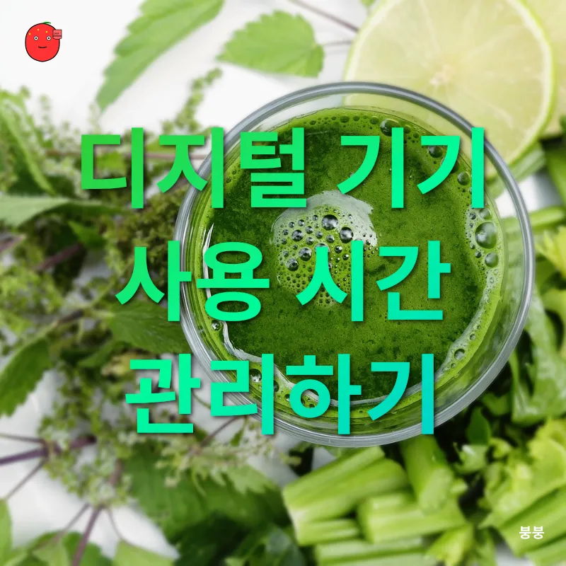 디지털 디톡스_1