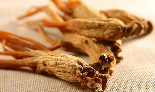 당뇨 전 단계 홍삼 섭취가 혈당 조절에 효과적이랍니다.