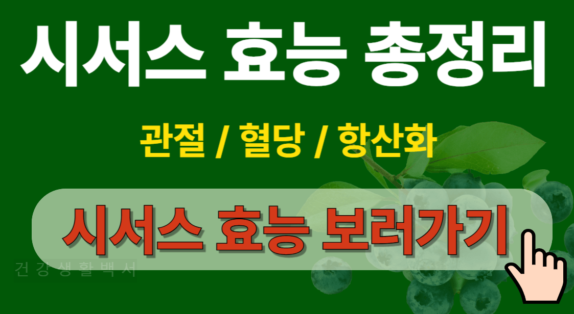 시서스 효능