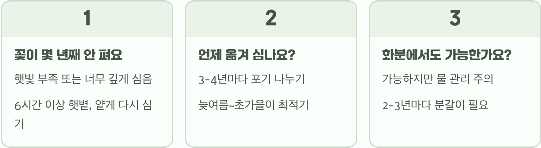 초보 정원사도 성공하는 붓꽃 키우기, 알뿌리 심는 법부터 월동까지 A to Z