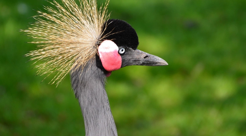 건설업계의 협력업체 선정의 중요성