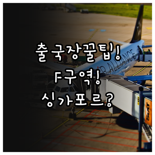 싱가포르항공 인천공항 제1터미널 F구..