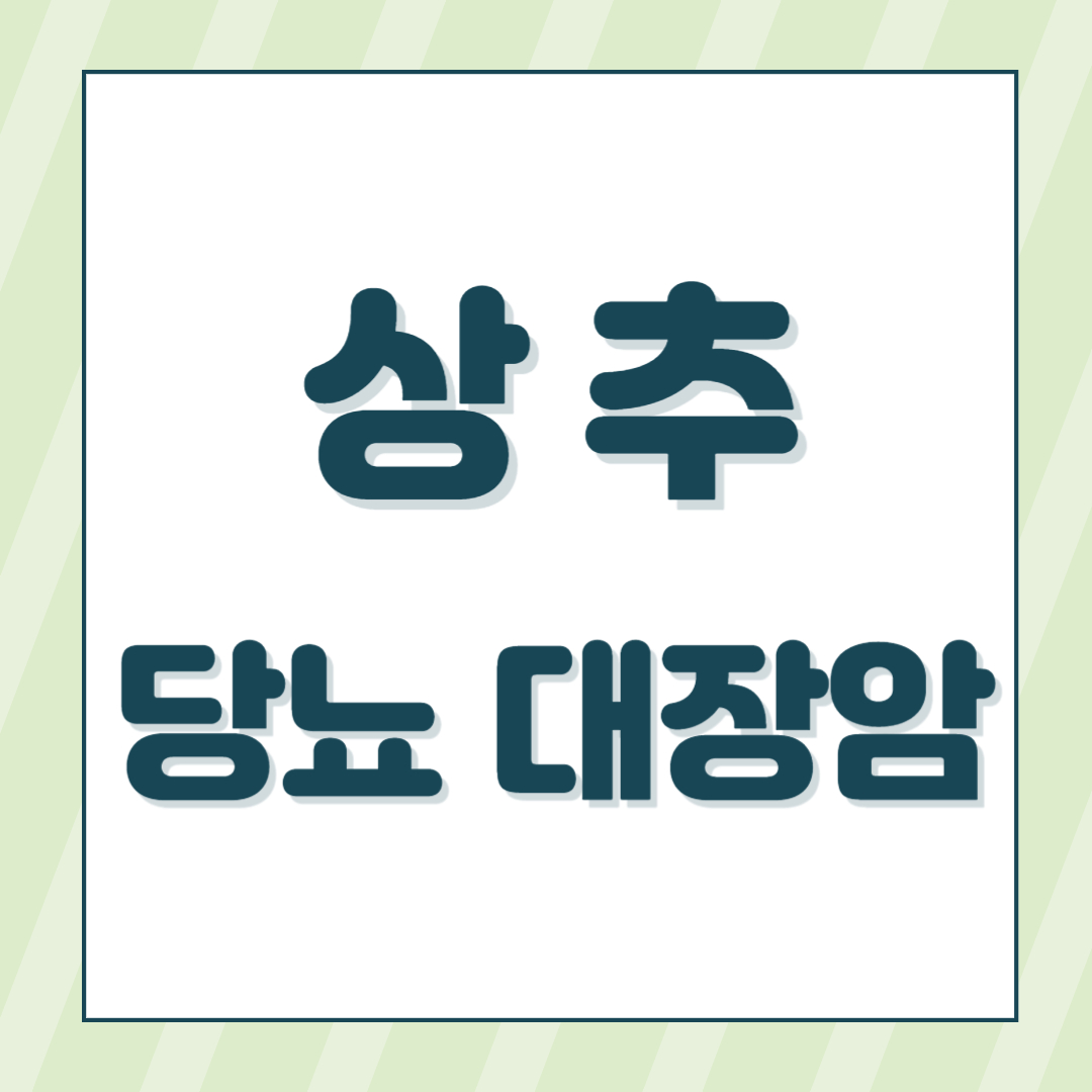 상추 효능과 대장암 당뇨병