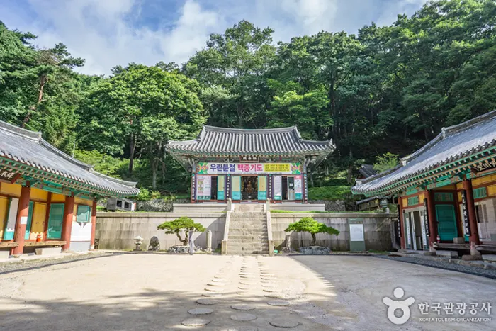 선본사 전경 이미지