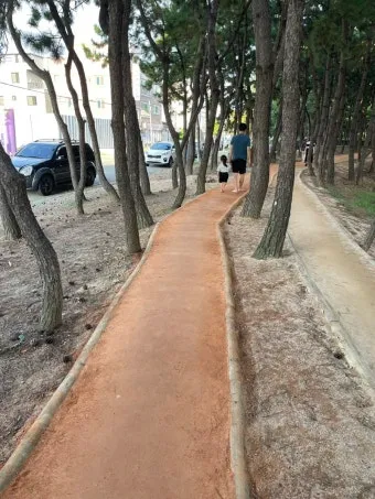 황토길 맨발 걷기 효능과 건강 효과 핵심 정보 정리해보기_6